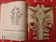 Delcampe - Atlas Anatomique Sandoz. Tête,cou,tronc,membres. 1971. Superbes Photos De Coupes Anatomiques - Santé