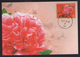 2001's Taiwan R.O.CHINA -Maximum Card- Personal Greeting Stamps - Cartoline Maximum