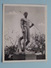 DE 9 STATUER Paa Ollerup Gymnastikhojskole ( Carnet 9 Snapshots ( +/- 7 X 9 Cm.) Zie Foto´s Voor Details ) !! - Norvège