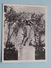 Delcampe - DE 9 STATUER Paa Ollerup Gymnastikhojskole ( Carnet 9 Snapshots ( +/- 7 X 9 Cm.) Zie Foto´s Voor Details ) !! - Norway