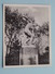 Delcampe - DE 9 STATUER Paa Ollerup Gymnastikhojskole ( Carnet 9 Snapshots ( +/- 7 X 9 Cm.) Zie Foto´s Voor Details ) !! - Norway