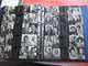 Delcampe - Belgian Chewing Gum Ltd - Only Film Stars - Collection More Than 500 Photos  - 5cmX7cm AND 4cmX5,8cm  From Fifties VG - Bioscoopreclame