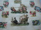 Delcampe - Tres Ancien Epaix (dikke) Album Chromos Glanzbilder Far Before 1900 Also Advertising Cards, Expo 1900 & Postman SERIE - Andere & Zonder Classificatie