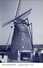 MOLENBEERSEL Bij Kinrooi (Limb.) - Molen/moulin - Blauwe Prentkaart Van De Stenen Bergmolen 'Zorgvliet' (anno 1919) - Kinrooi