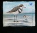 425148772 ARGENTINIE DB 2002 POSTFRIS MINTNEVER HINGED POSTFRIS NEUF YVERT 2295 2296 2297 2298 Birds Vogels - Unused Stamps