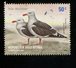 425148772 ARGENTINIE DB 2002 POSTFRIS MINTNEVER HINGED POSTFRIS NEUF YVERT 2295 2296 2297 2298 Birds Vogels - Unused Stamps