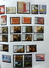 Delcampe - Netherlands/Pays-Bas/Olanda Collection In 2 Davo Binders - Collections (en Albums)