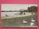 Angleterre - Portsmouth - Swans And Canoe Lake - Scans Recto-verso - Portsmouth