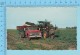 Aroostook County, Maine USA - Potato Harvester -  2 Scans - Cultures