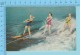 Water Skiing-  A Thrilling Sport  -  2 Scans - Wasserski