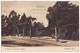 OAKLAND CALIFORNIA - STREET VIEW ON VERNON HEIGHTS - TREES 1910 Vintage Postcard [6992] - Oakland