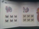 CHINA 2017 -1  China New Year Zodiac Of Rooster Cock Stamp  Sheetlet Folder - Blocks & Sheetlets