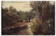 WATERBURY CT, THE DRIVE, HAMILTON PARK, People Walking On Pathway, C1900s-10s Vintage Connecticut Postcard [7006] - Waterbury