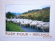 Postcard Rush Hour Ireland  Sheep Tractor Farmer My Ref B2166 - Other & Unclassified