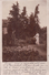 CARTE-PHOTO BAUGE 1904 - Autres & Non Classés