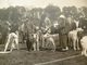 Carte Photo Milan Milano Italia Italie Concours De Lévriers Chiens 1924 TBE - Milano (Milan)