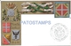 65639 ITALY ART ARTE PATRIOTIC HERALDRY MILITARY 67º REGIMENT INFANTRY POSTAL POSTCARD - Autres & Non Classés