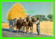 BEJA, PORTUGAL - CARRADA DE TRIGO - CHARRETÉE DE BLÉ - EDIÇOES DA PAPELARIA CORREIA - - Beja