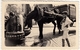 FOTOGRAFIA - OLD PHOTO - BAMBINO CON CAVALLO ALLA FONTANELLA - Vedi Retro - Mestieri