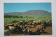 Mongolia. Horse Field In The Mountains. 1970s -    - Old Postcard - Mongolië