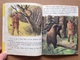 Disney Petit Livret Davy Crockett (1957) - Disney