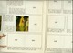 Delcampe - ALBUM PANINI-1985-"TARAM Et LE CHAUDRON MAGIQUE"-43 Images Collées - - Albums & Catalogues