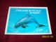 LOT 9 CARTES DE  POSTALES   ° THEME   DES  DAUPHINS - Dauphins