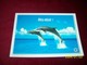 LOT 9 CARTES DE  POSTALES   ° THEME   DES  DAUPHINS - Dauphins