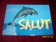 LOT 3 CARTES DE  POSTALES   ° THEME   DES  DAUPHINS - Dauphins