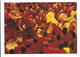 Tibet - Assemblée Et Débat De Moines Tibétains - 1992 - Photo Charlotte Haslund - Go Card - Boeddhisme