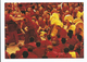 Tibet - Assemblée Et Débat De Moines Tibétains - 1992 - Photo Charlotte Haslund - Go Card - Buddhism