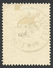 Belgium,  25 + 5 C. 1928, Sc # B70, Mi # 236, Used - Oblitérés