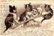 [DC9735] CPA - QUATTRO GATTI GIOCHERELLONI - IN RILIEVO - Viaggiata 1902 - Old Postcard - Gatti