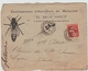 1908 - ENVELOPPE ILLUSTREE (APICULTURE DU MARQUIZAT) De PARAY SOUS BRIAILLES (ALLIER) - SEMEUSE CAMEE - ABEILLE - 1877-1920: Periodo Semi Moderno