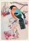 Eurasian Bullfinch - Pyrrhula Pyrrhula - Birds Of Russian Forest - 1979 - Russia USSR - Unused - Oiseaux