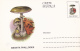 BV6795   MUSHROOMS, Shifted Picture, RARE POSTCARD STATIONERY 1996 ROMANIA. - Errors, Freaks & Oddities (EFO)