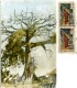 CAMEROUN  DOUALA  Diedo  Le Baobab  Nice Stamps - Camerun