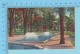 St. Albans VT - A Corner Of Taylor Park  - Linnen Postcard Lin -  Vintage Ancienne - 2 Scans - Autres & Non Classés