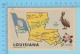 Maps, Cartes Géographiques - Louisiana LA - Map + State Flag The Pelican State, Magnolia Flower   - 2 Scans - Cartes Géographiques