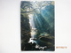 Postcard The Fairy Glen Betws Y Coed North Wales My Ref B2438 - Contea Sconosciuta