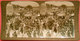 1908 Photo Stereo The Durbar Défilé éléphants Décorés Delhi India N°1422 éditeur Keystone View Company 17.8x9 Cms - Stereoscopic