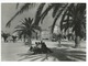 Split 1959 - Croatie