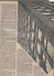 Delcampe - SCIENCES AVENIR 11 1953 - INDE - CINEMA - CAVIAR ESTURGEONS GIRONDE - CANCER - BATHYSCAPHES FNRS 3 & TRIESTE PICCARD - - 1950 - Today