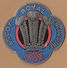 SPORT Horse Racing Ascot Royal Enclosure 1888  Cardboard Badge E65 - Eintrittskarten