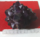 Minerali - Cristalli - Ametista - Gruppo Di Cristalli - Minerali