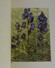 LES FLEURS Des ALPES 1938 18 Planches D'après Aquarelle Paul A ROBERT Texte Henry Bordeaux Collection Iris  Livre Ancien - 1901-1940