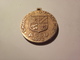 MEDAILLE CHAMPION D'ACADEMIE ASSU 1973 GRAVEUR A IDENTIFIER - Other & Unclassified