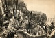 Postcard / Monte-Carlo / La Cote D'Azur / Les Jardins Exotiques / Used / 1947 / 2 Scans - Monte-Carlo