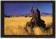 NAMIBIA - Namib Desert During The Dry Season - Photograph: Johan Steyn (2 Scans) - Namibia