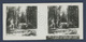 US USA YOSEMITE National Park. Giant SEQUOIA & Woman. Shelter In The Woods. Stereoscopique OLD STEREO PHOTO 12.7x5.6cm - Photos Stéréoscopiques